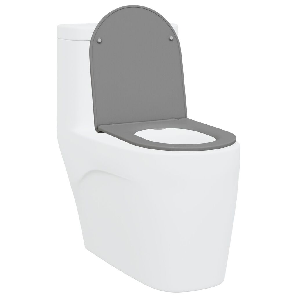 Toilette à ouverture rapide avec fermeture douce en Duroplast Gris